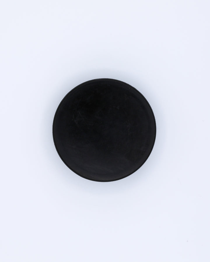 Chicago Steel Farewell Tour Commemorative Puck