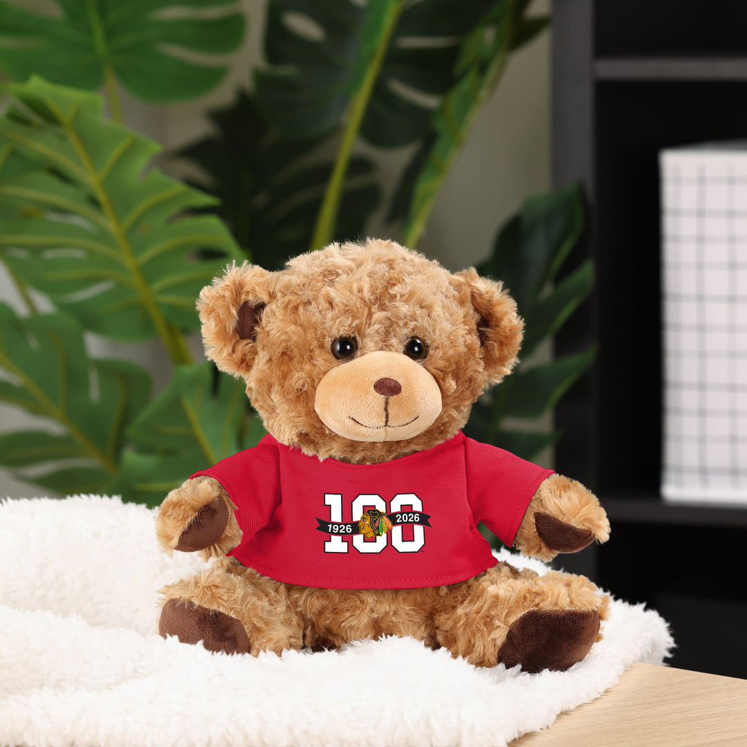 Chicago Blackhawks Centennial Seated Plush Bear