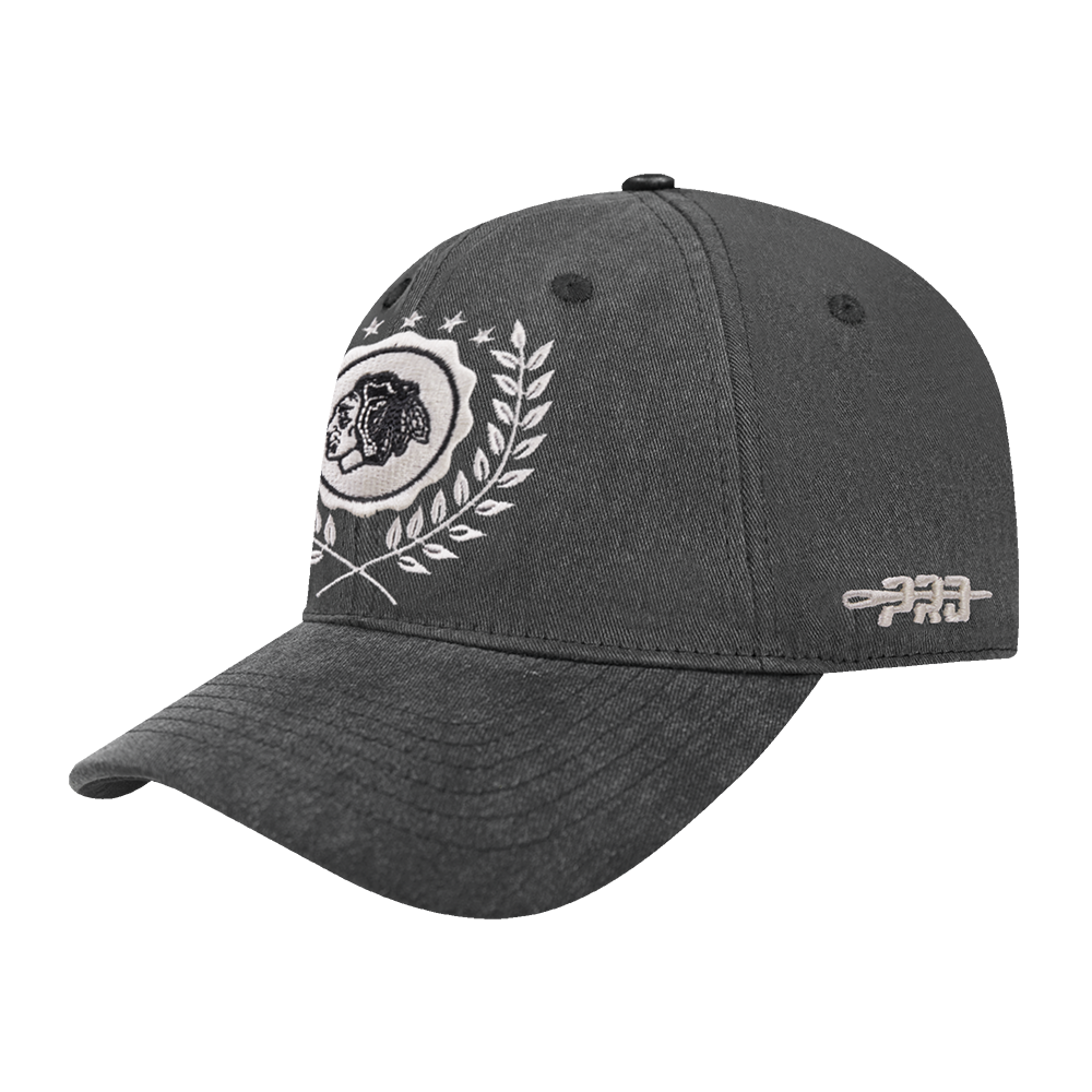 Pro Standard Chicago Blackhawks Street Team Strapback Hat