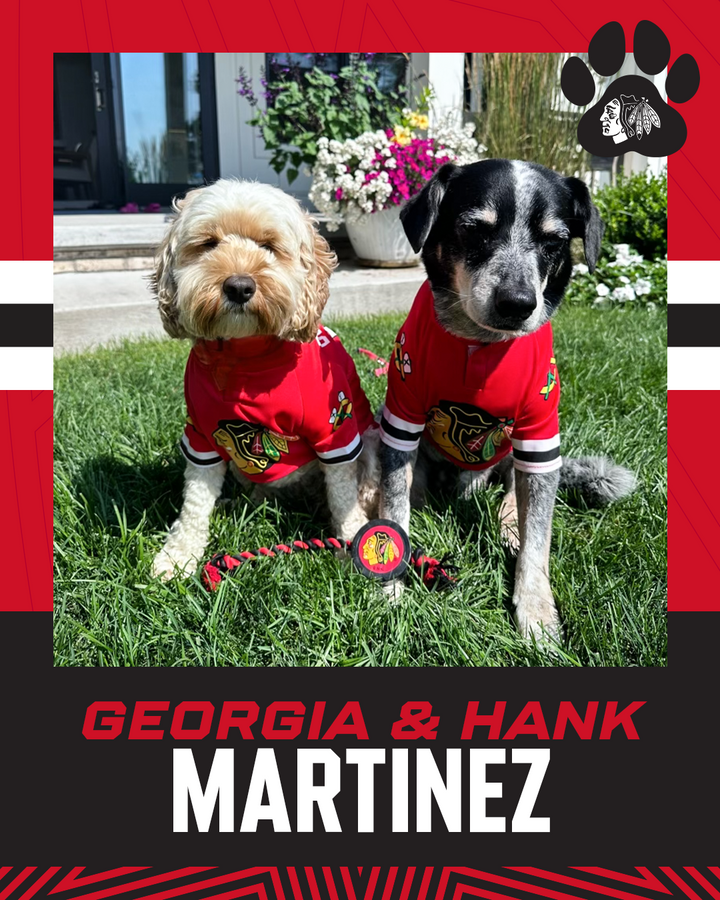 Chicago Blackhawks Pet Jersey