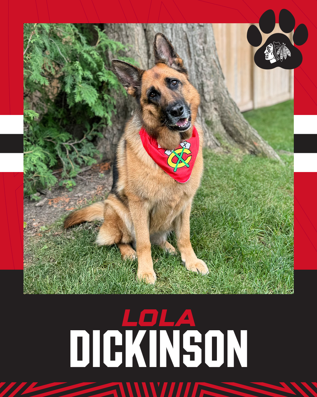 Chicago Blackhawks Reversible Pet Bandana