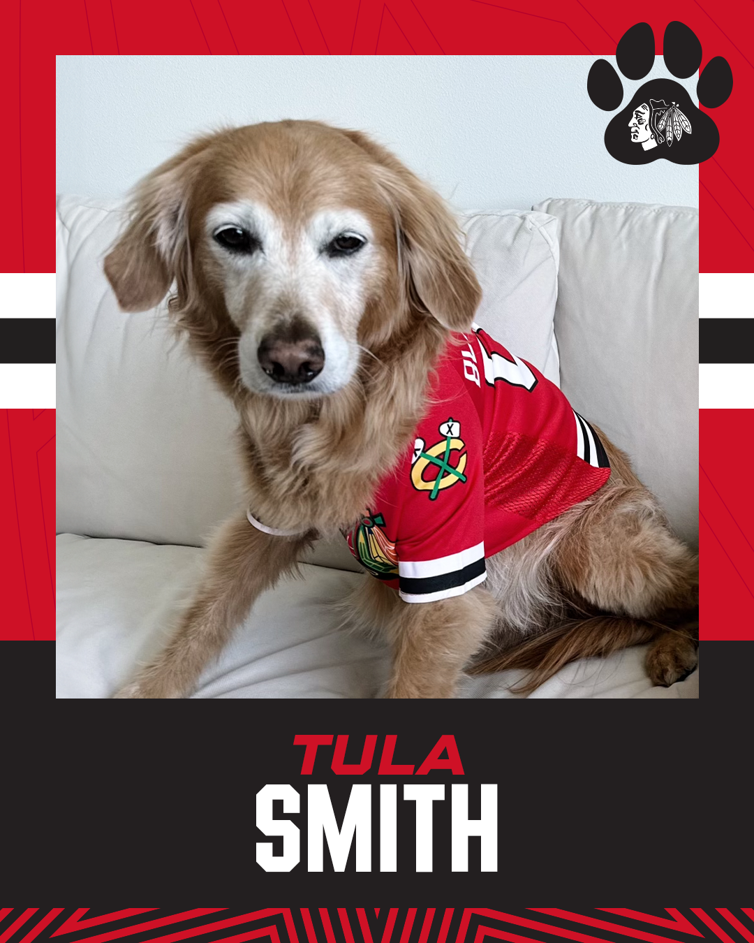 Chicago Blackhawks Pet Jersey